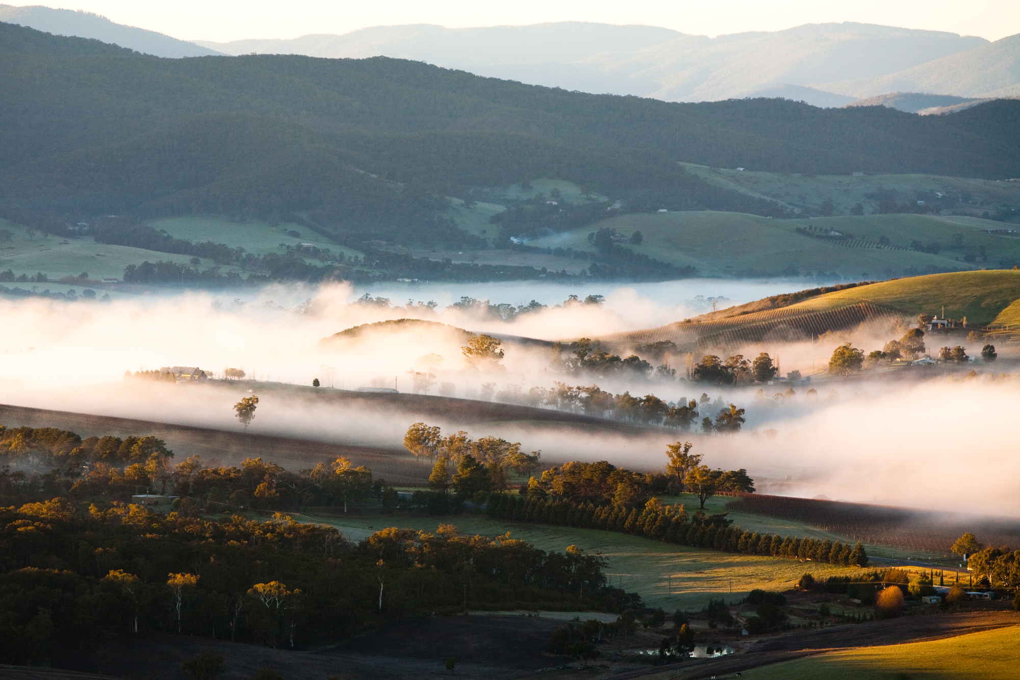 Yarra Valley