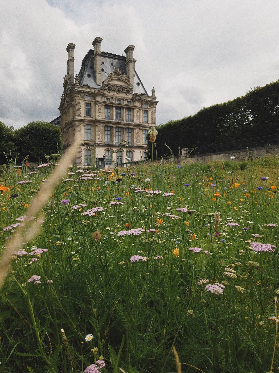 Paris in summer