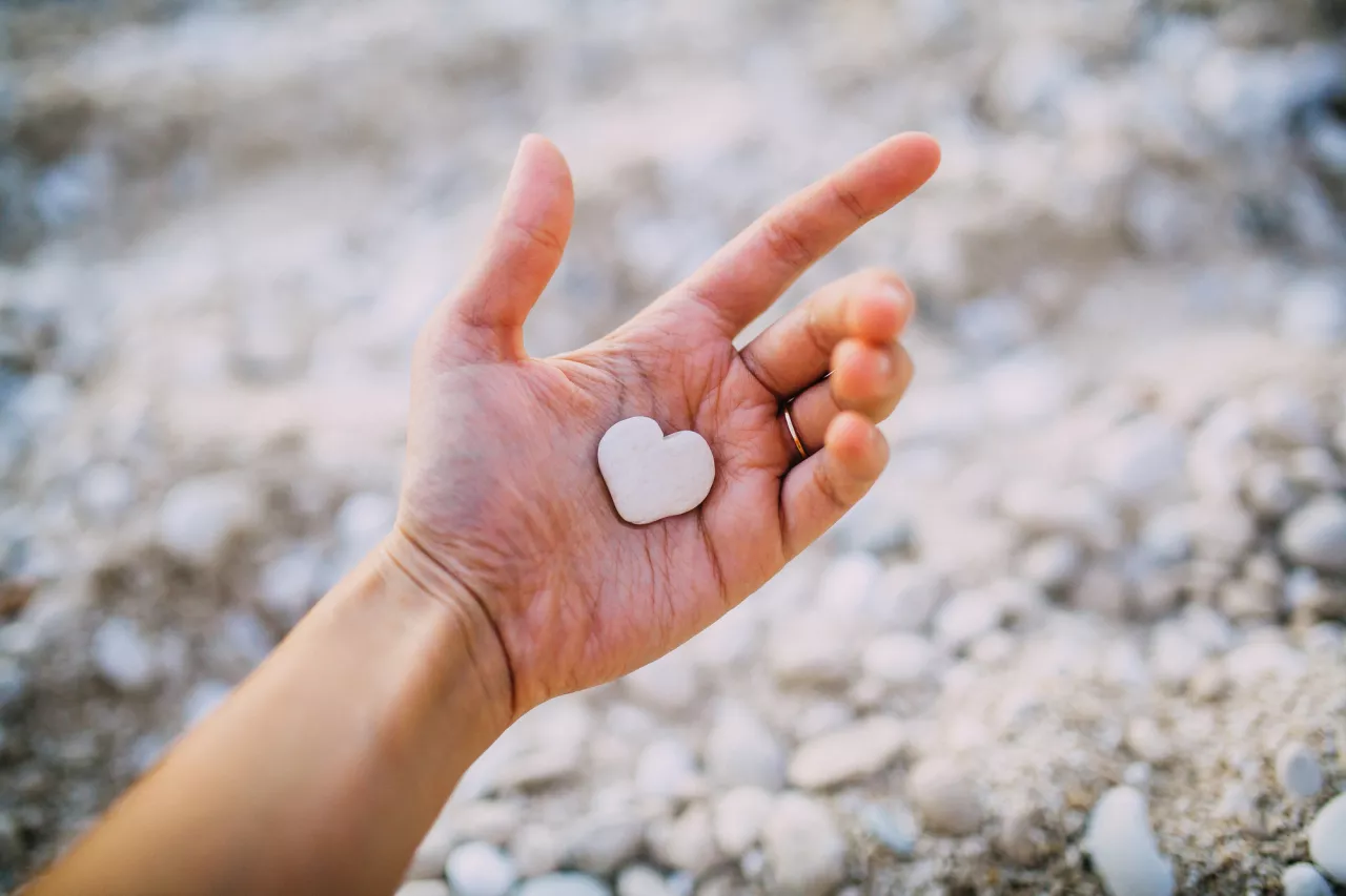 Dia dos Namorados Coleção de Imagens e Vídeos de Amor Próprio