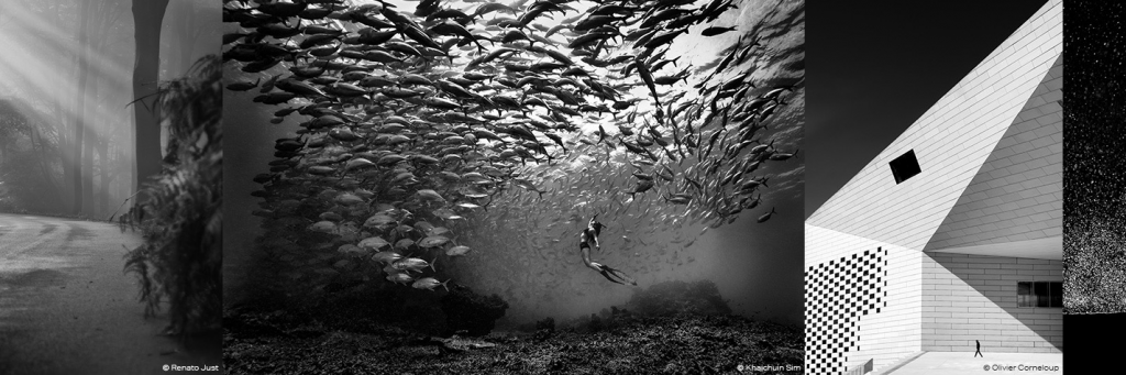 underwater photography