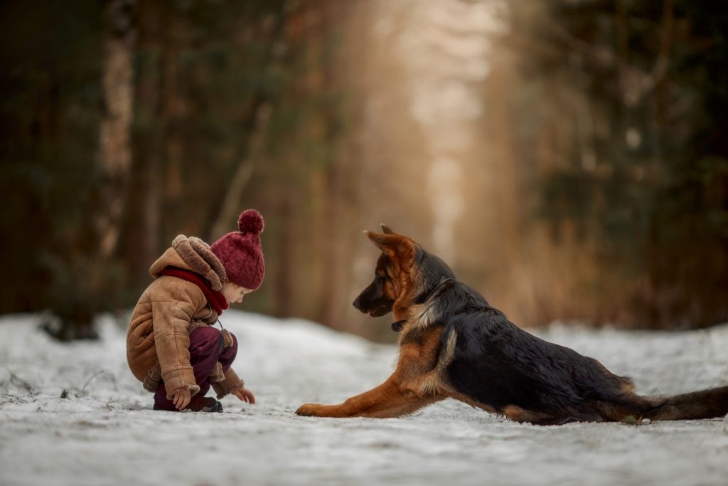 child and dog