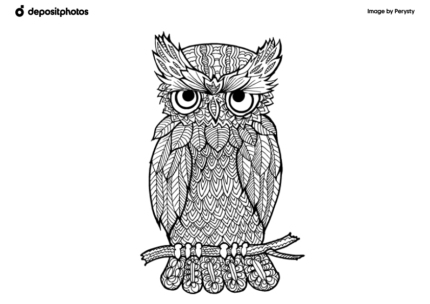 detailed owl printable Summer Coloring Pages