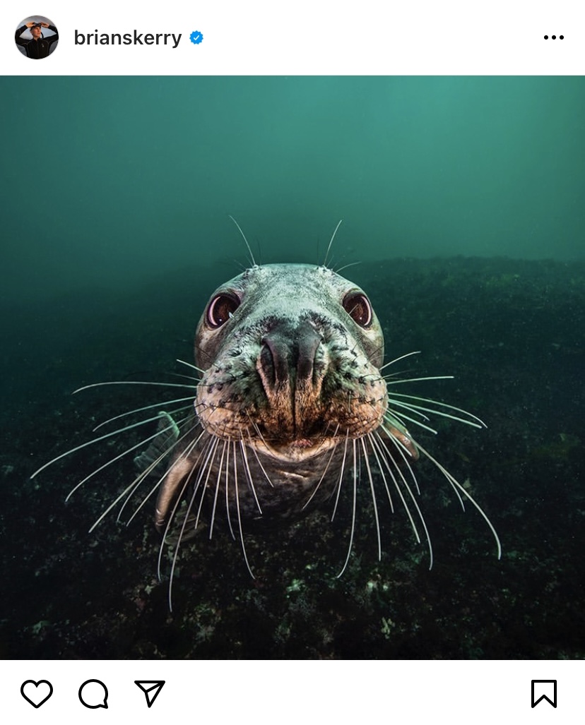 Brian Skerry