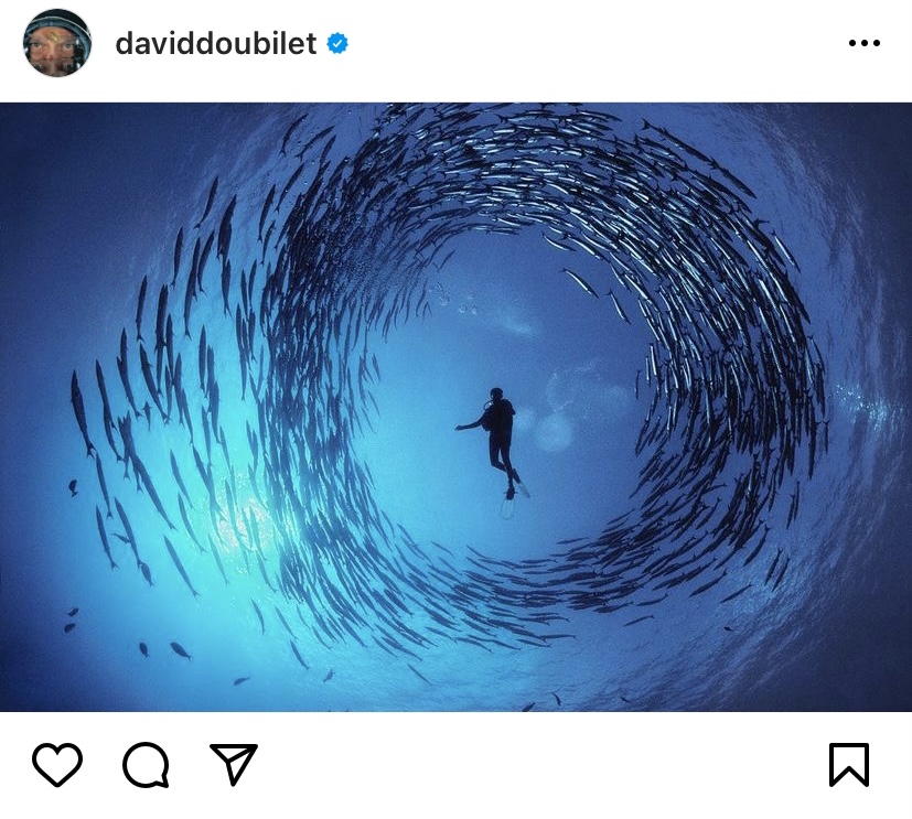 David Doubilet