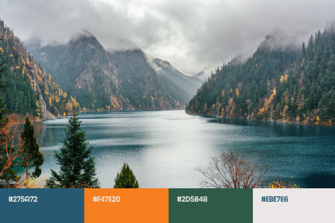 Fall Color Trends 2022: Palettes, Collections, and Mockups