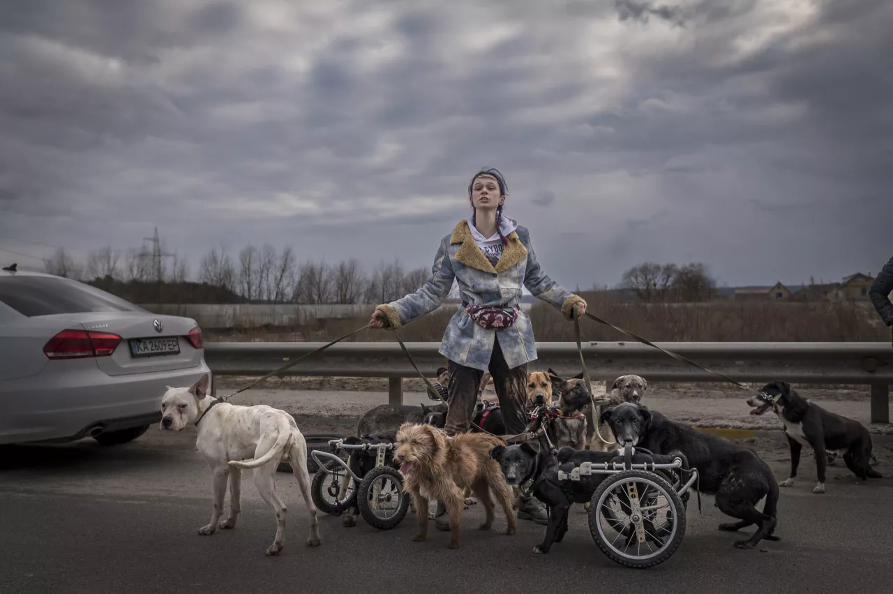 interv-yu-z-amerykanskym-fotozhurnalistom-kristoferom-ochchykone