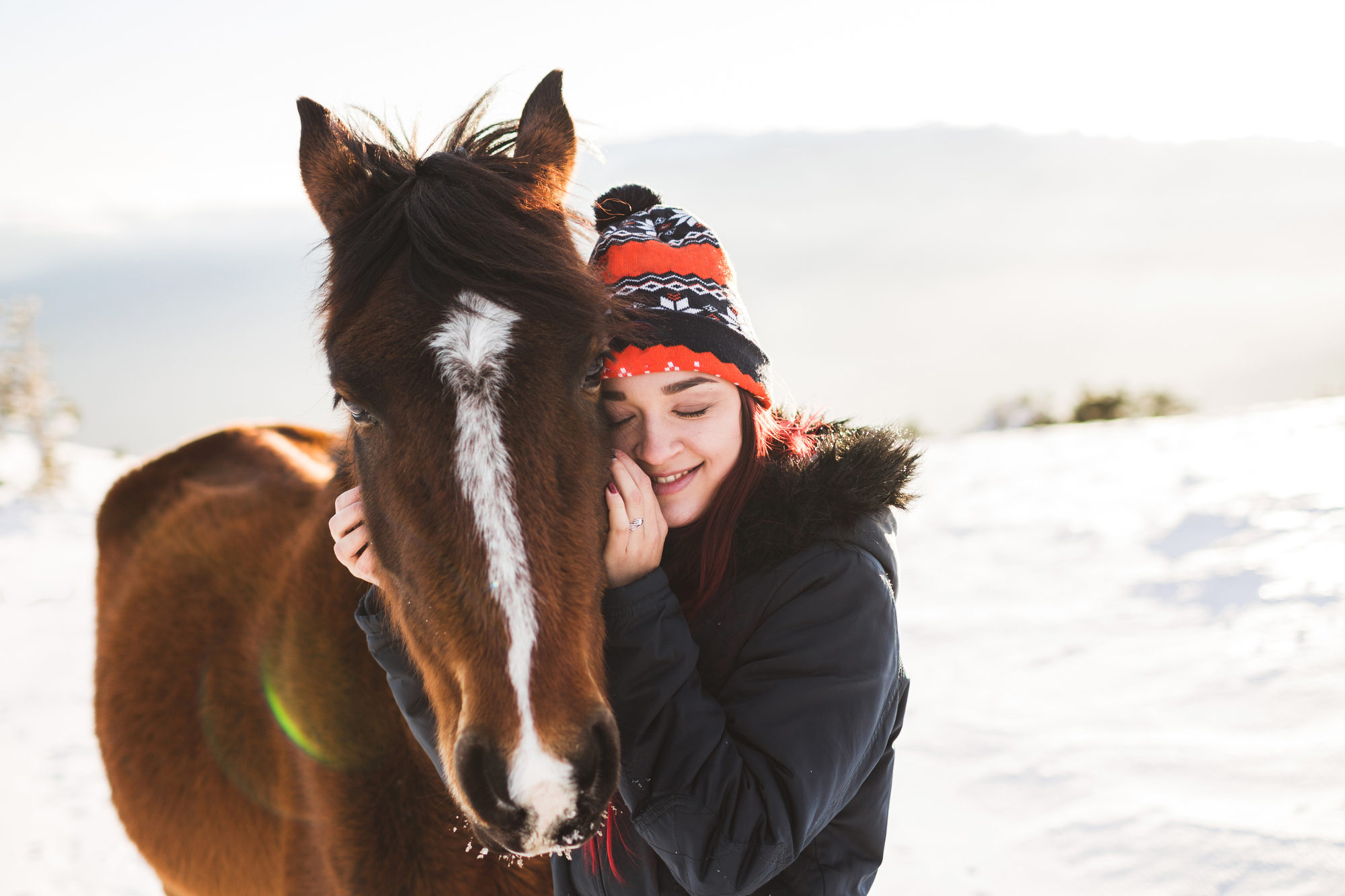 Happy girl gently stroking horse in shiny sunlight. Winter in mo