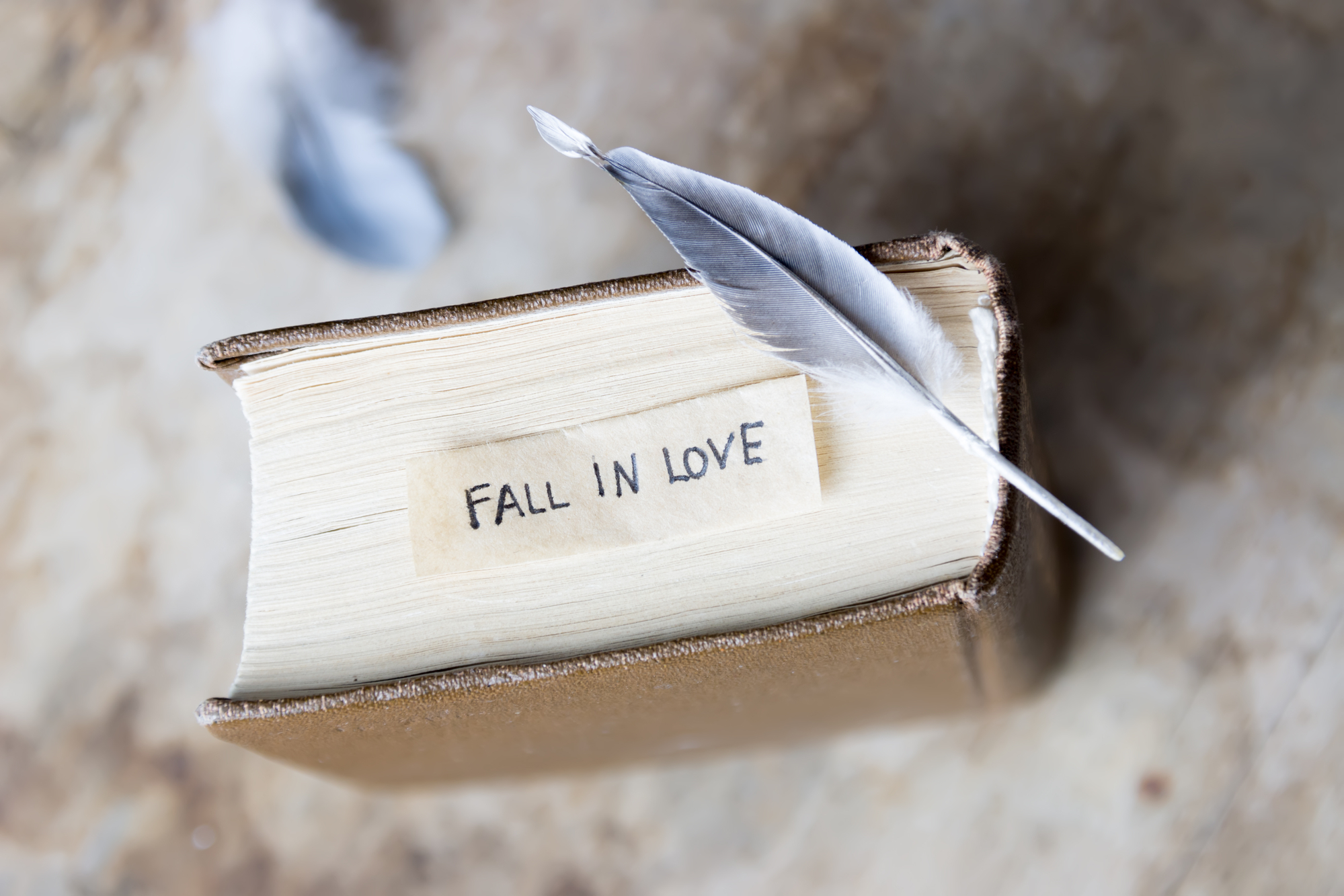 Fall in love. label and book on a wooden table.