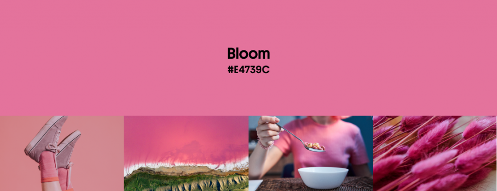 Spring Color Trends 2023: Palettes, Design Ideas, Stock Visuals, and Mockups