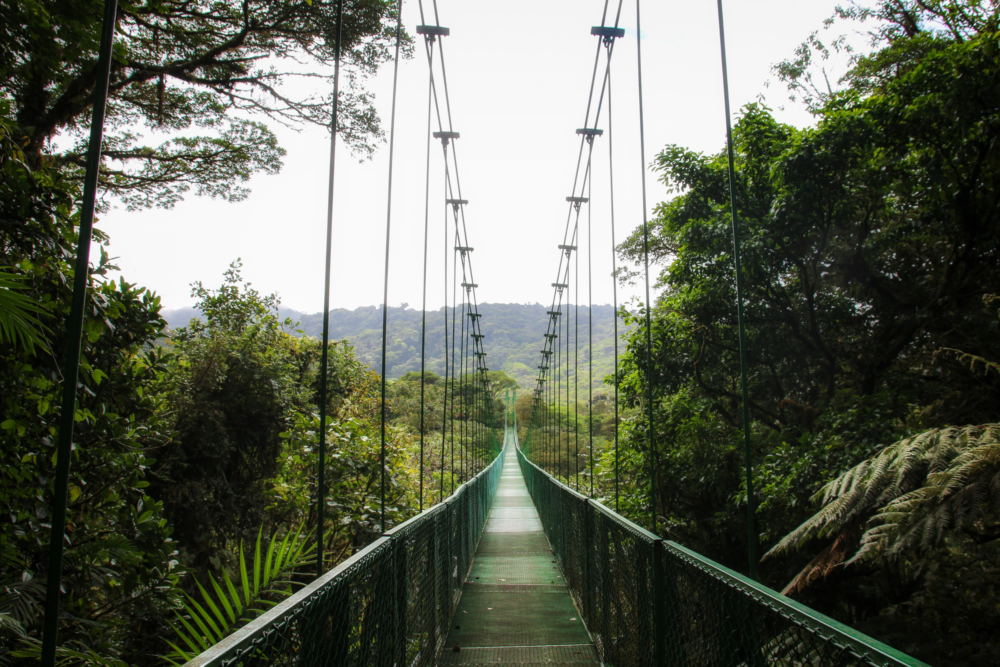 Perspectiva na Fotografia: Fefinições, Tipos e Dicas