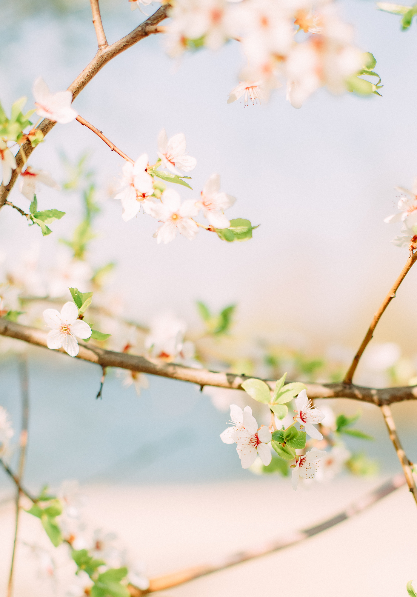 20 Photos That Perfectly Convey Spring Aesthetics