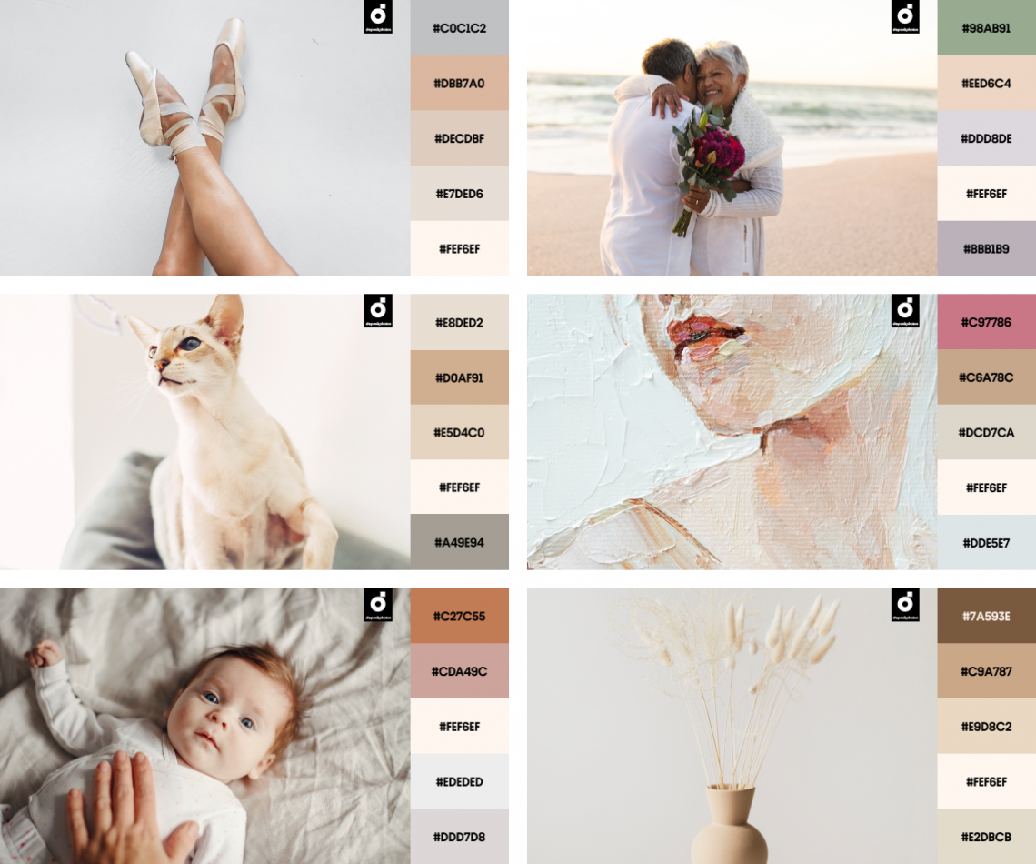 Spring Color Trends 2023: Palettes, Design Ideas, Stock Visuals, and Mockups