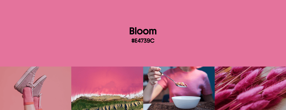 Spring Color Trends 2023: Palettes, Design Ideas, Stock Visuals, and Mockups