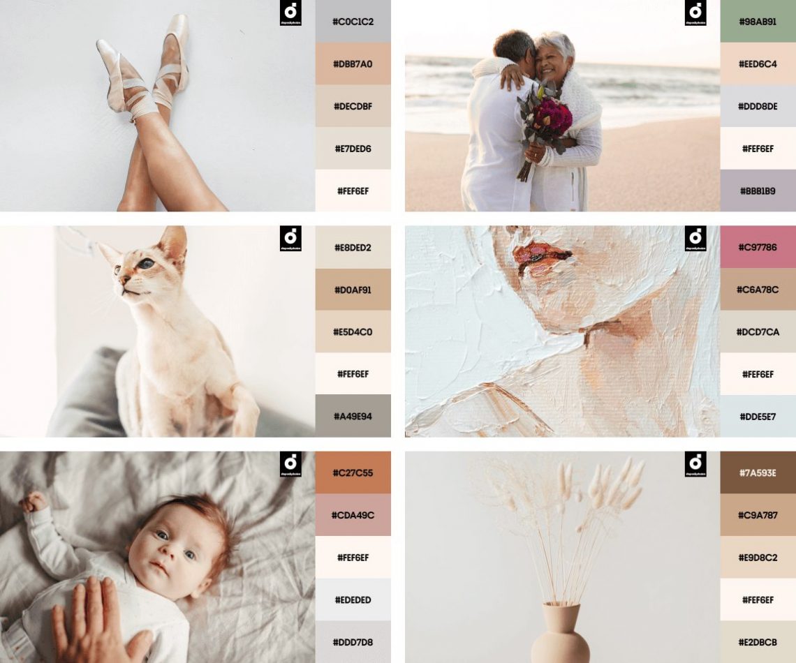 Spring Color Trends 2023: Palettes, Design Ideas, Stock Visuals, and Mockups