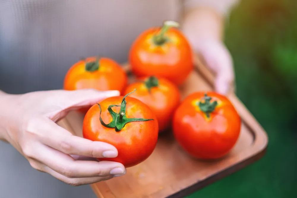 Taste of Summer: Thematic Collection of Vibrant Food Visuals