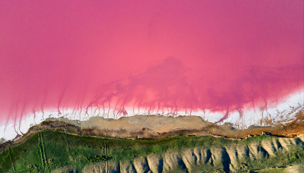 Top view of colorful lake coast with bright pink water