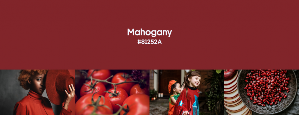 Fall Color Trends 2023 Mahogany cover