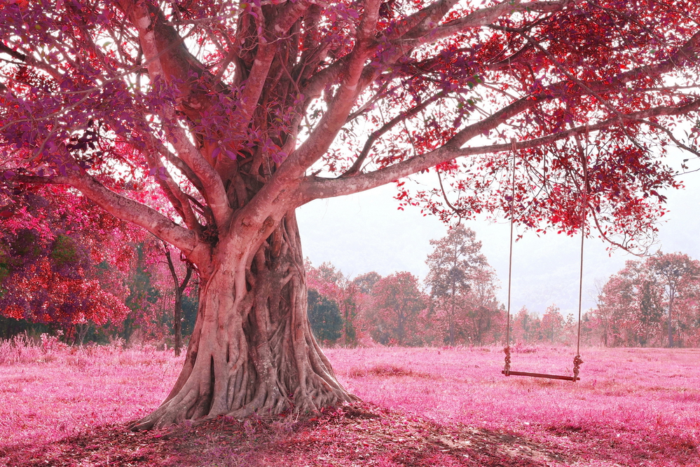 Popular Visuals with the Color Pink 