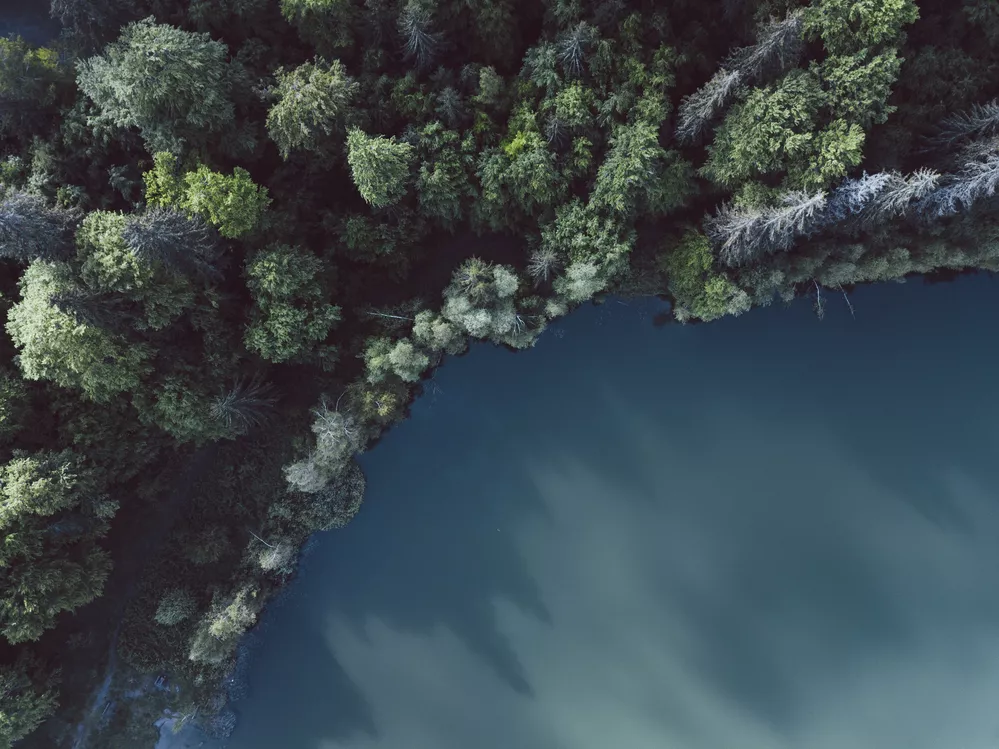 Outstanding drone shot with splendid view over forrest and lake