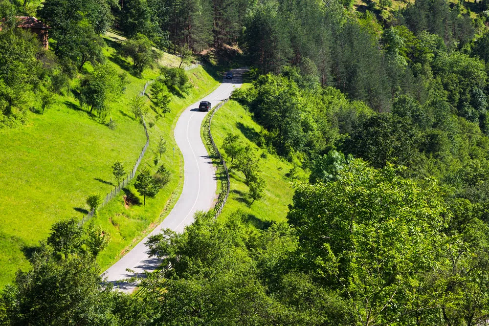 Плани для бізнесу: види й переваги