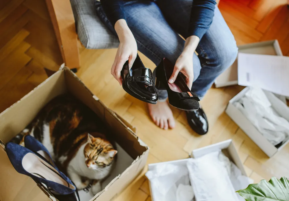 Woman unboxing unpacking several pairs of new shoes bought via online store demonstration showing them and curious cat pet inside the shipping box cardboard