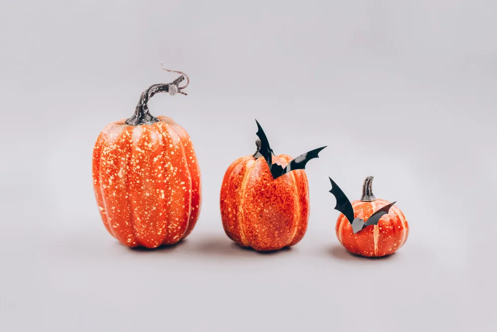 Minimal Halloween scary and concept. Decorative orange pumpkins with bats on light gray background with copy space. Halloween decorations or party invitation. Selective focus