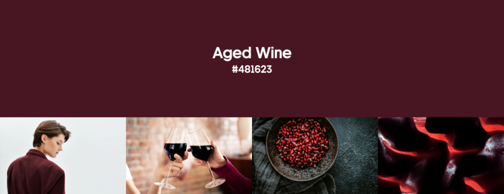 Winter Color Trends 2024-2025 Aged Wine_cover