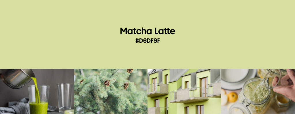 Winter Color Trends 2024-2025 Matcha Latte_cover