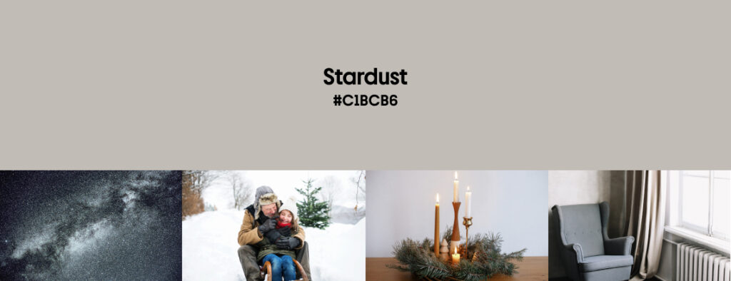 Winter Color Trends 2024-2025 Stardust_cover