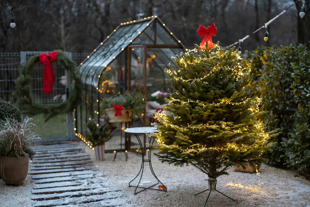 Christmas tree illuminated with garland and decorated with red bow outdoors