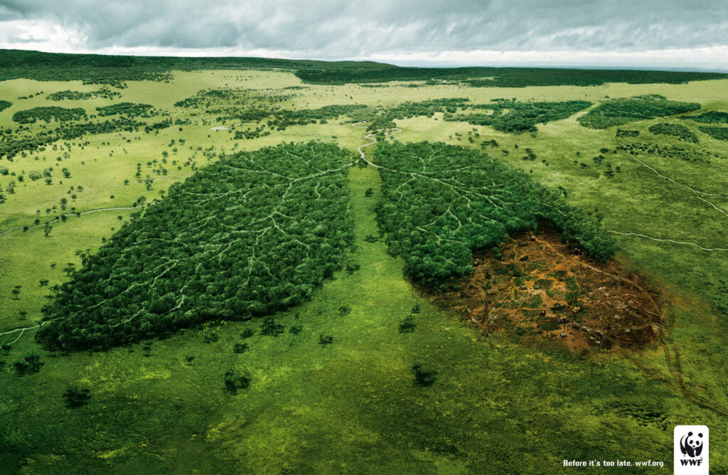 WWF Before its too late print ad