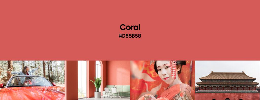 Spring Color Trends 2025