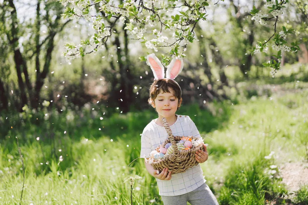 Bright vs. Soft: Choosing the Best Easter Colors for Your Campaigns 