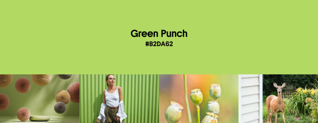 Summer Color Trends 2025