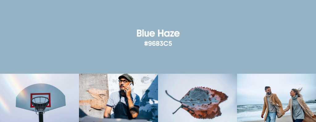 Fall Color Trends 2025 Blue Haze