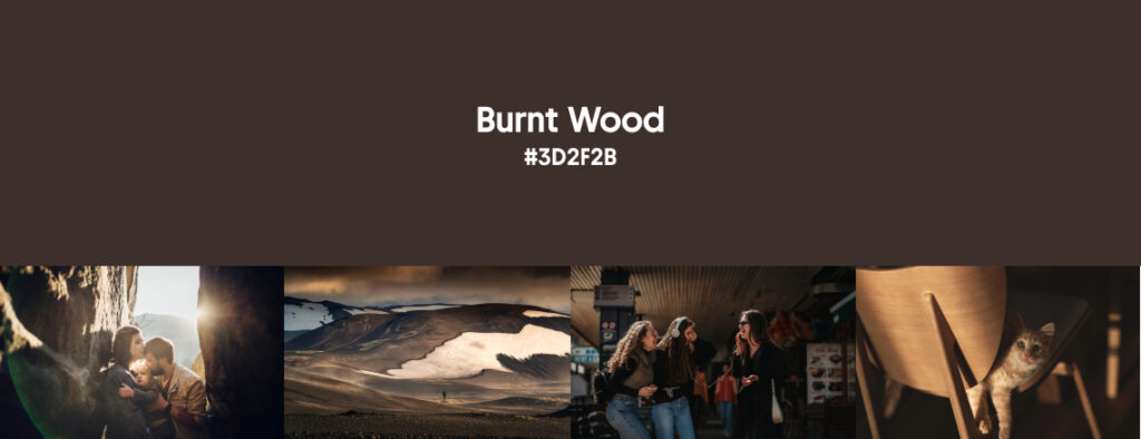 Fall Color Trends 2025 Burnt Wood