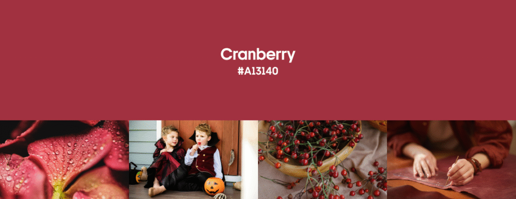 Fall Color Trends 2025 Cranberry