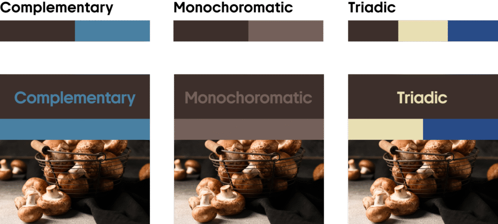 Fall Color Trends 2025 Burnt Wood
