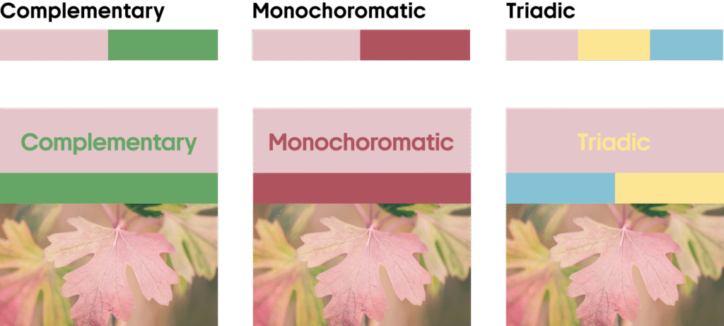 Fall Color Trends 2025 Rosewater