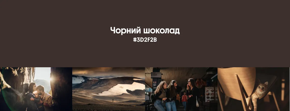Осінні трендові кольори 2025 Чорний шоколад 