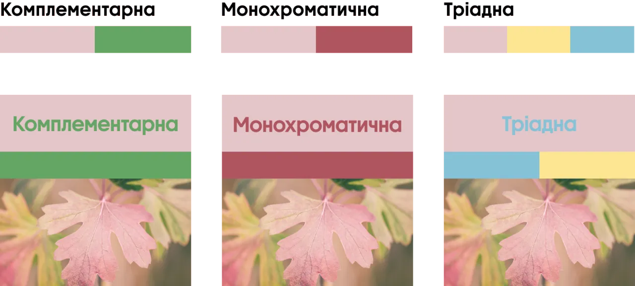 Осінні трендові кольори 2025 Рожева пудра 