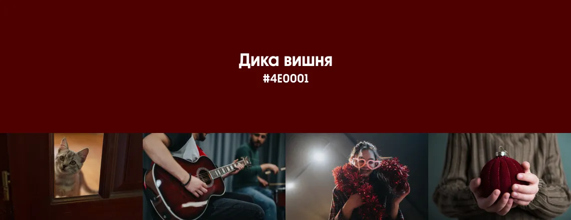 Зимові трендові кольори 2026 Дика вишня