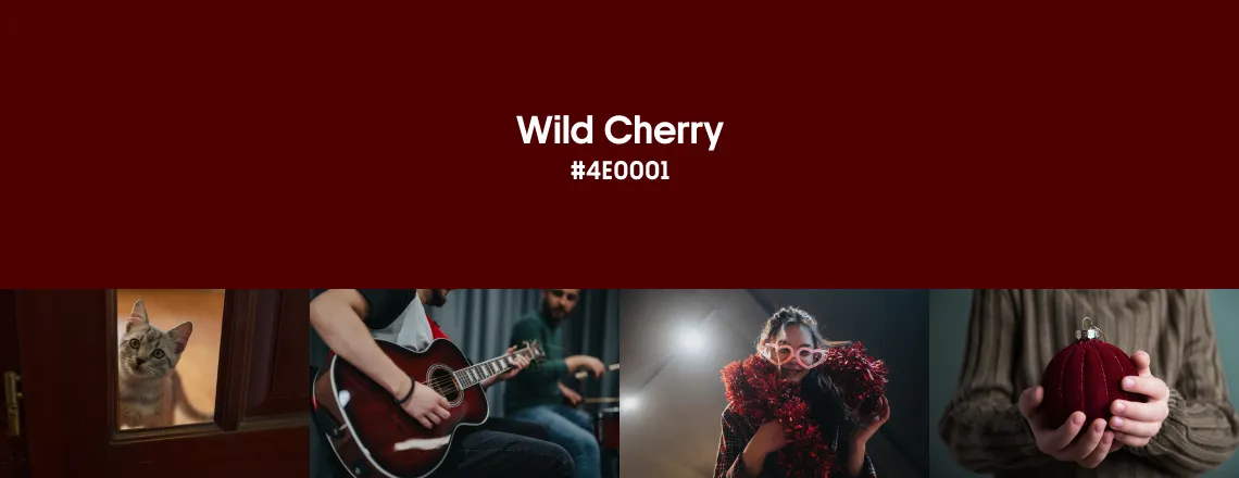 Winter Color Trends 2026 Wild Cherry