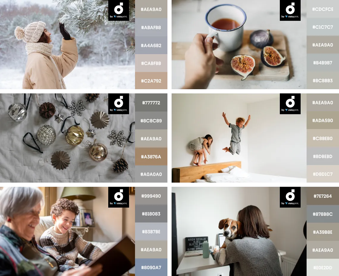 Winter Color Trends 2026 palette