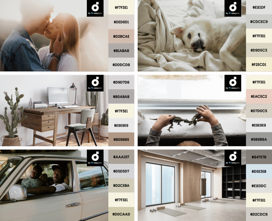 palette_Canvas Beige