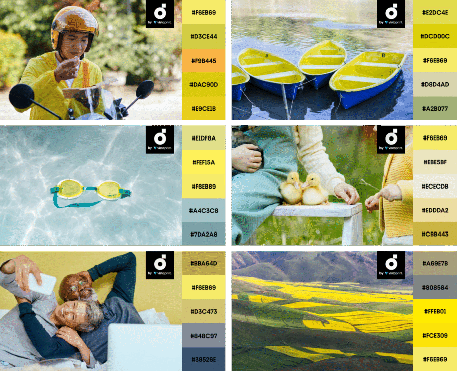 palette_Solar Yellow