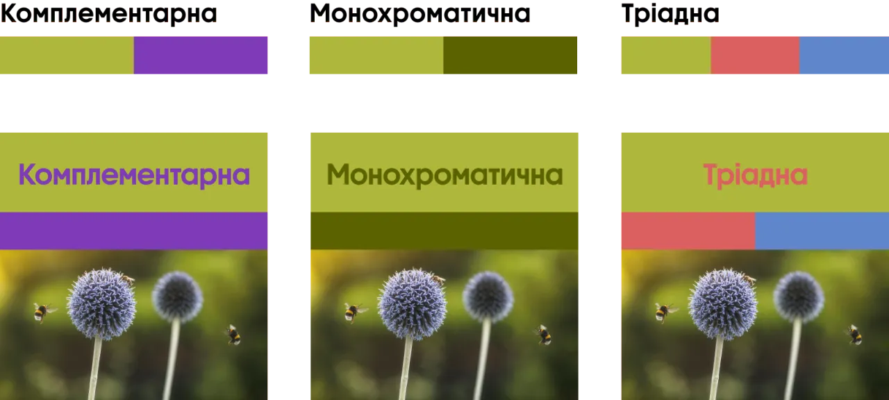 Літні трендові кольори 2026 - Шартрез палітра