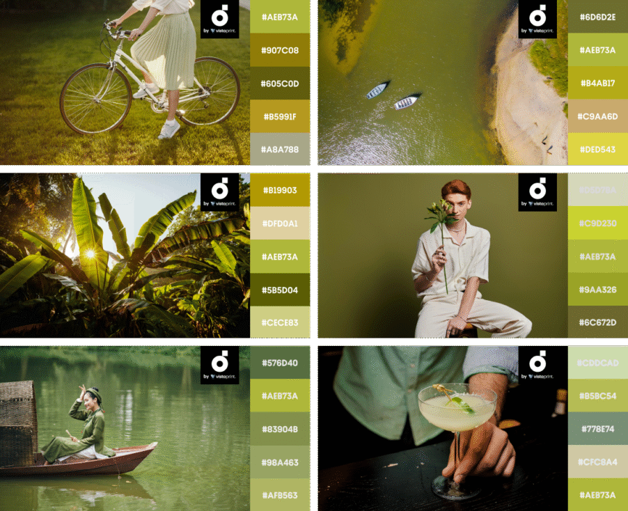 palette_Chartreuse