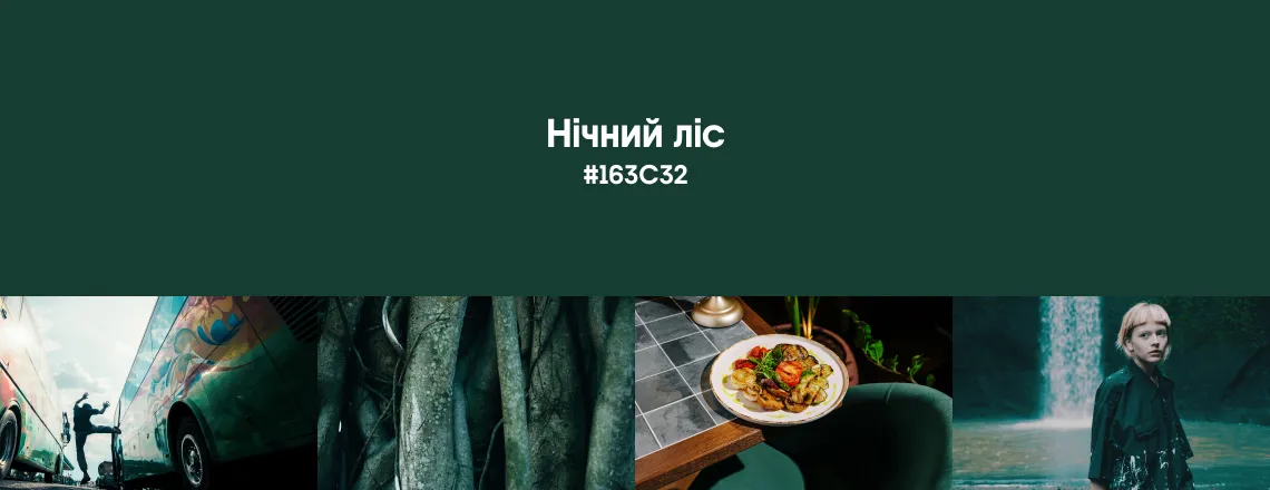 Осінні трендові кольори 2026 - Нічний ліс