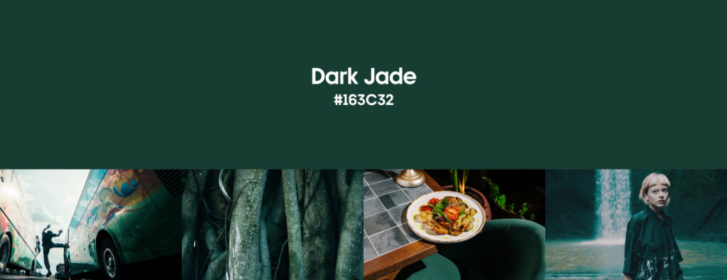 Dark Jade_cover